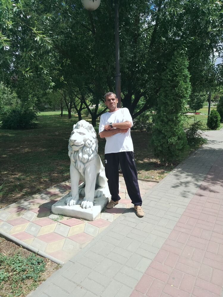  -,   , 51 ,   ,   