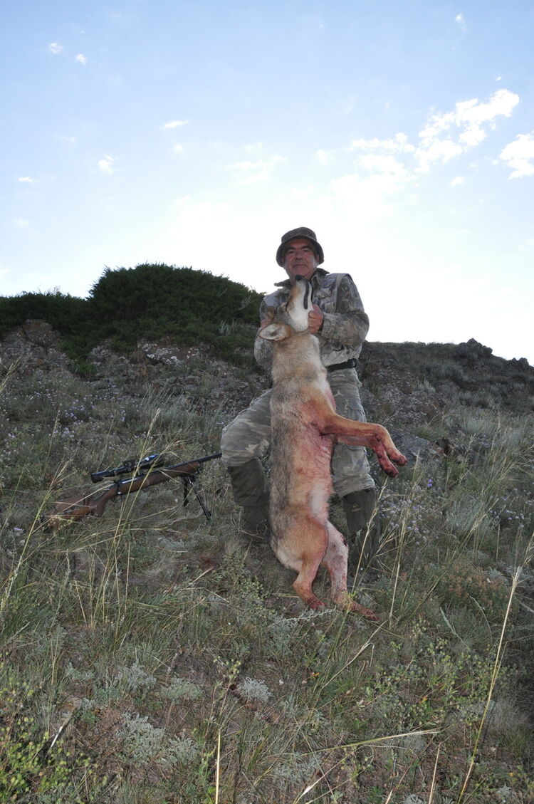 ���������� ������, ���� ������� �������, 61 ���, ������������ ��� ����� � ���������, c�������� ���������