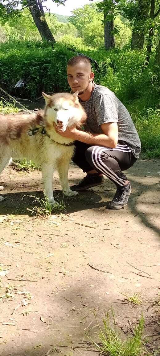 ���� 34999310 ������� ������, 26 ���, ���� ���������� � ������������