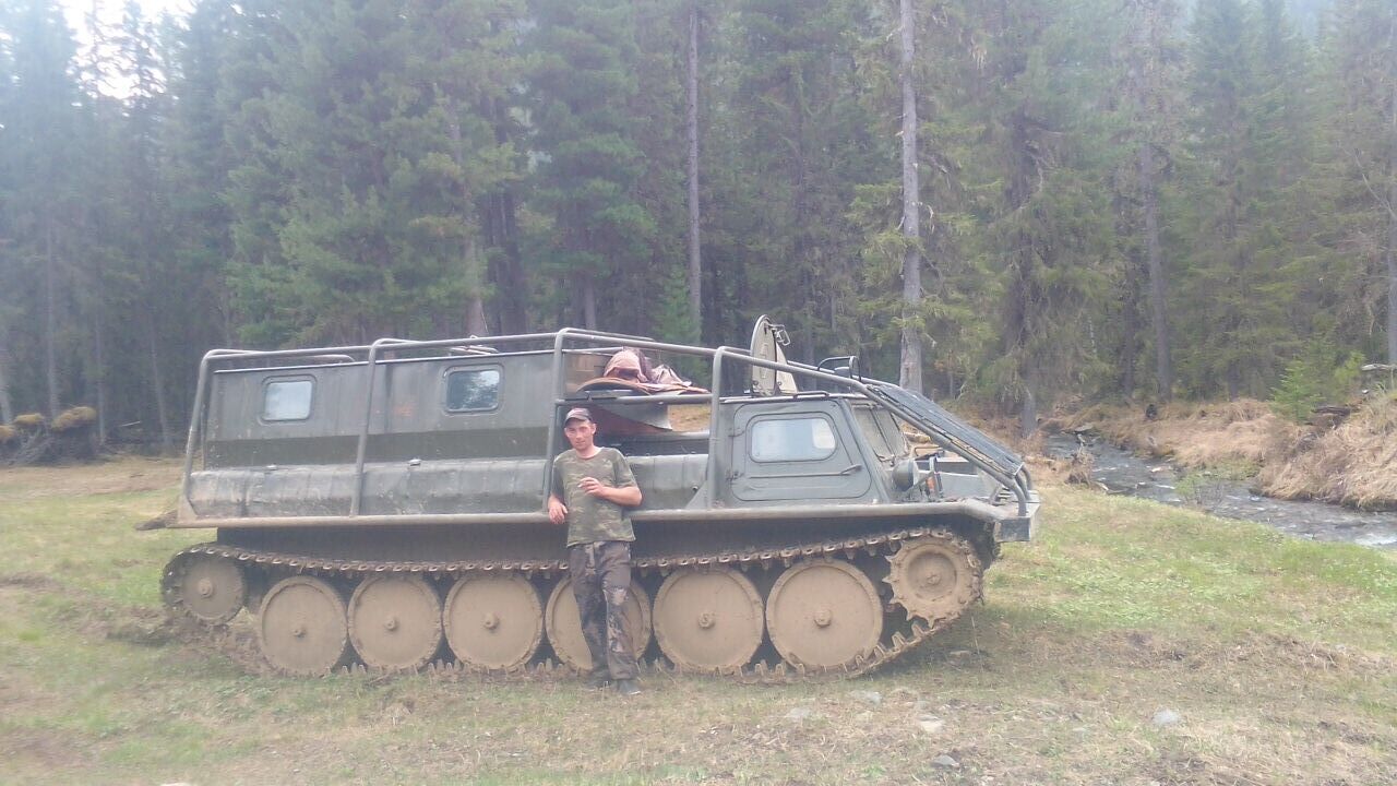  33808520  , 30 ,    