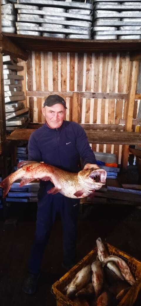 ���� 54847060 ������� ����, 47 ���, ���� ���������� � �������������