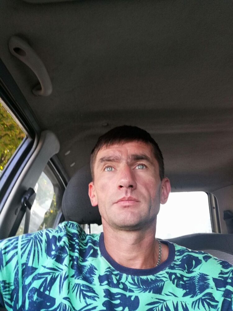  31325170  , 43 ,    