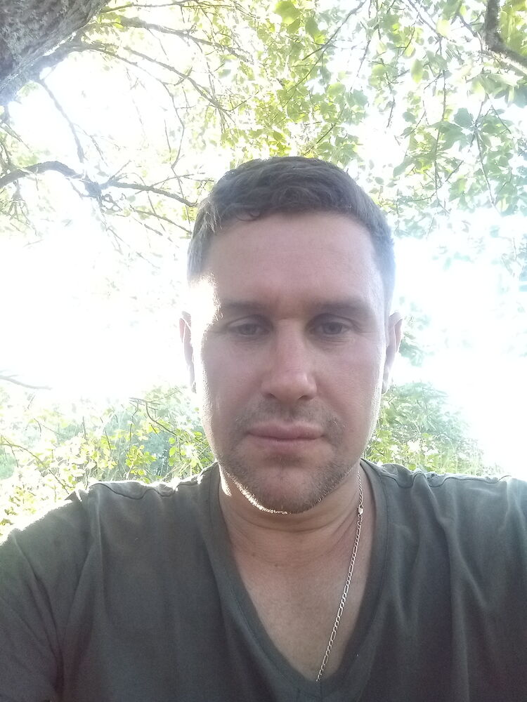  28642910  , 33 ,    -