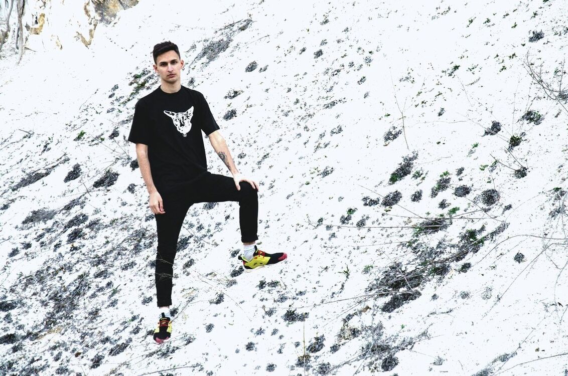 ���� 15356210 ������� ����, 33 ����, ���� ���������� � �������