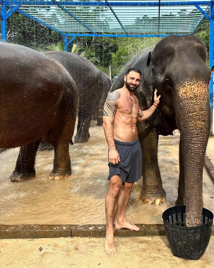 ���������� ���������, ���� ������� �������, 36 ���, ������������ ��� ������, ����� � ���������