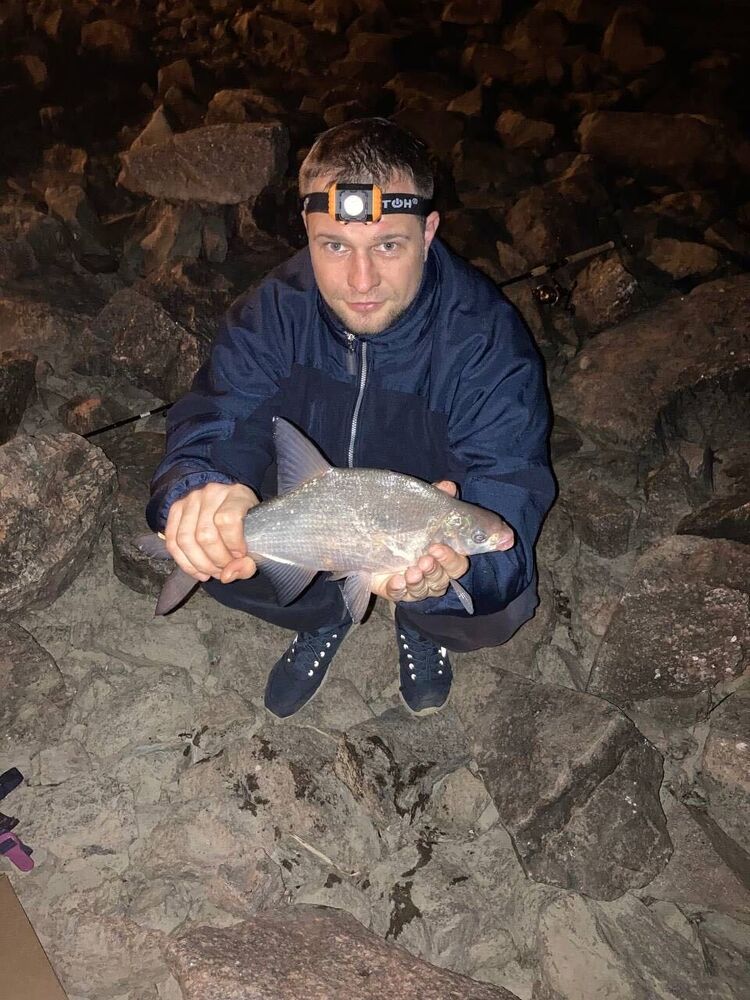 ���� 40111170 ������� ������, 34 ����, ���� ���������� � �����-����������