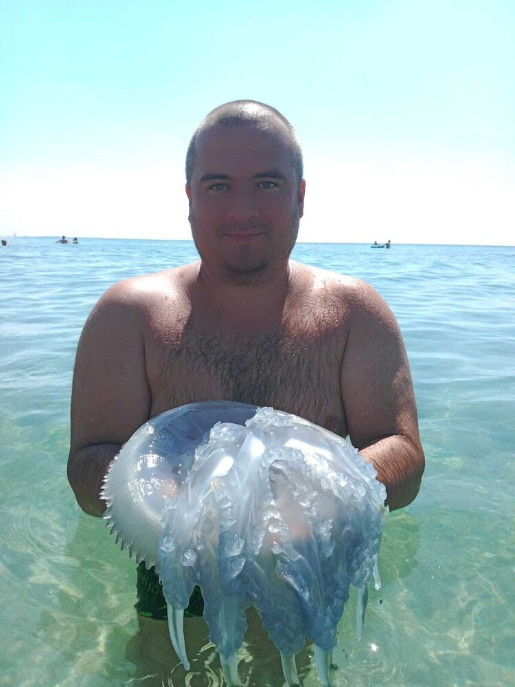 ���� 55838620 ������� ������, 40 ���, ���� ���������� � ������