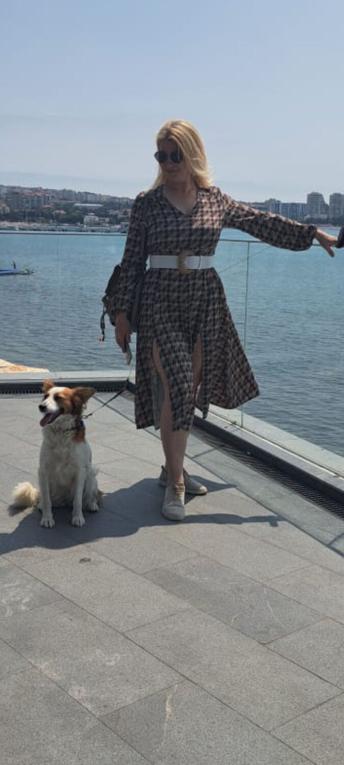 ���������� ������������, ���� ������� ������, 44 ����, ������������ ��� ����� � ���������, c�������� ���������