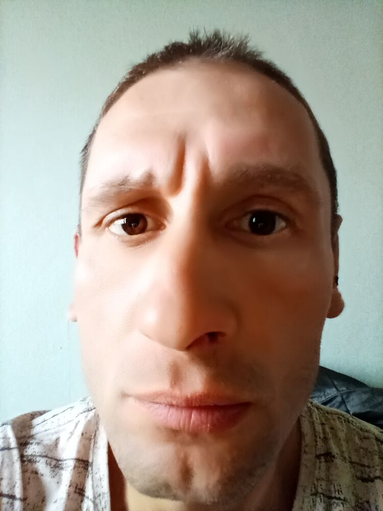 ���� 31930510 ������� �������, 43 ����, ���� ���������� � �������