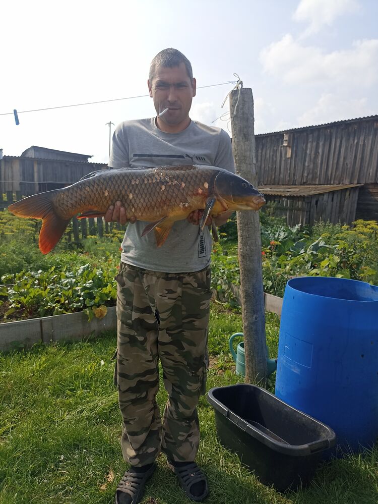 ���� 55332580 ������� ����, 37 ���, ���� ���������� � �������������