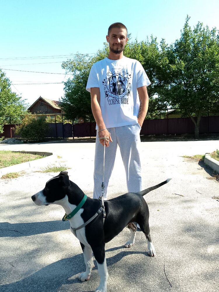 ���� 56088110 ������� �����, 29 ���, ���� ���������� � ����������