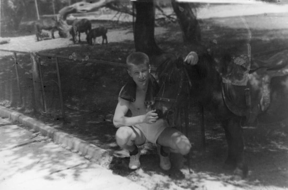 19458280  , 57 ,    