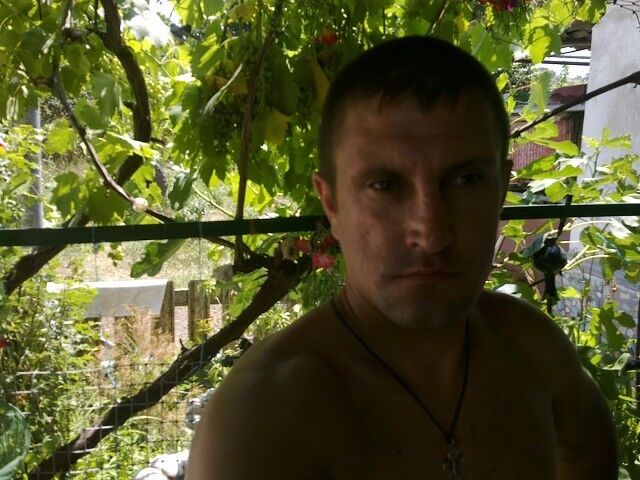 ���� 15897000 ������� ���������, 41 ���, ���� ���������� � �����������