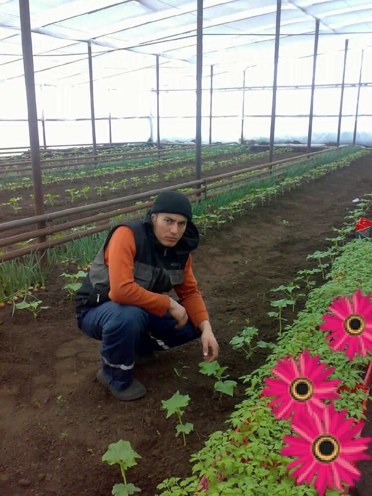 ���������� �����������, ���� ������� �����, 38 ���, ������������ ��� ������, ����� � ���������