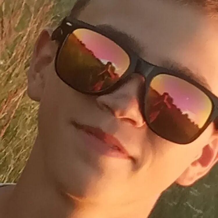  31182200  , 20 ,    