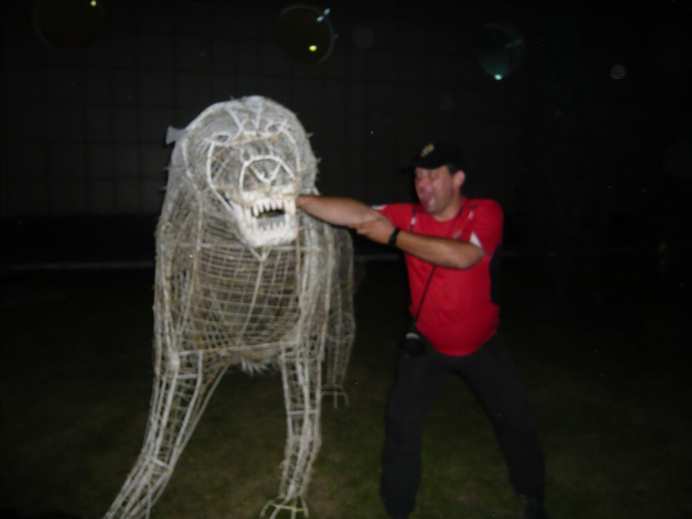 ���������� ����������, ���� ������� ����, 48 ���, ������������ ��� ������