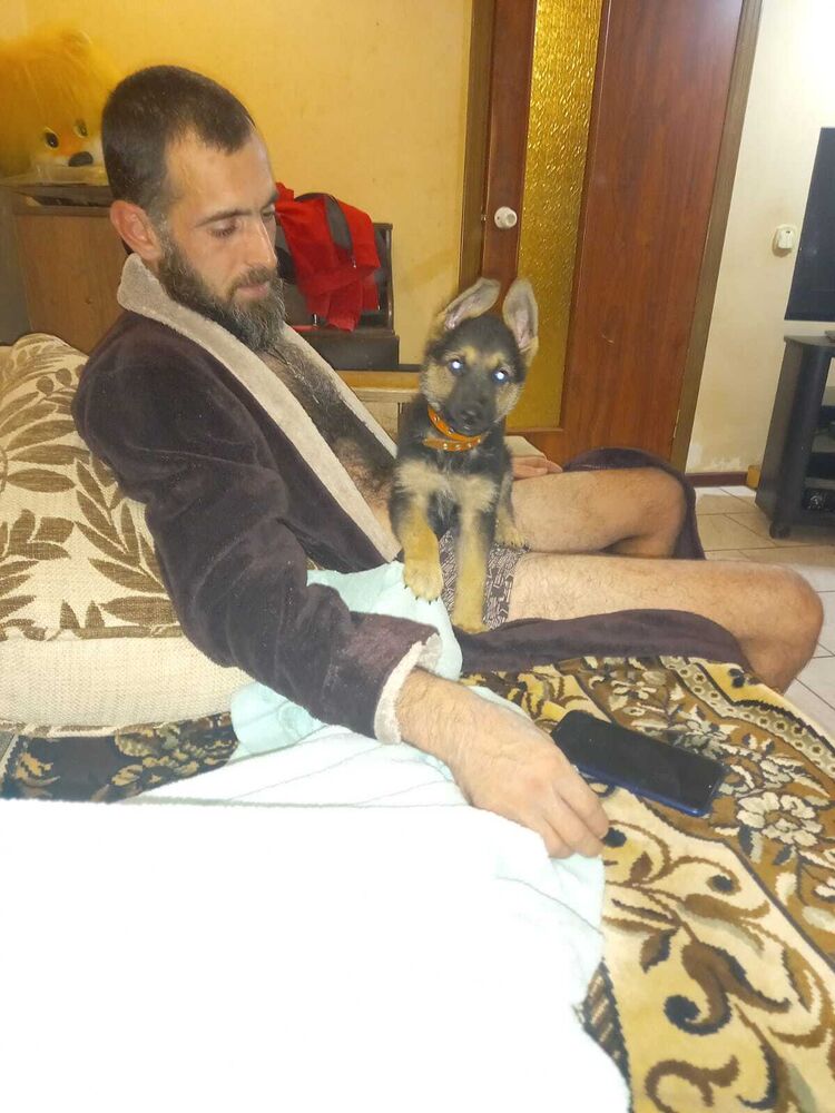  ,   , 41 ,   ,   
