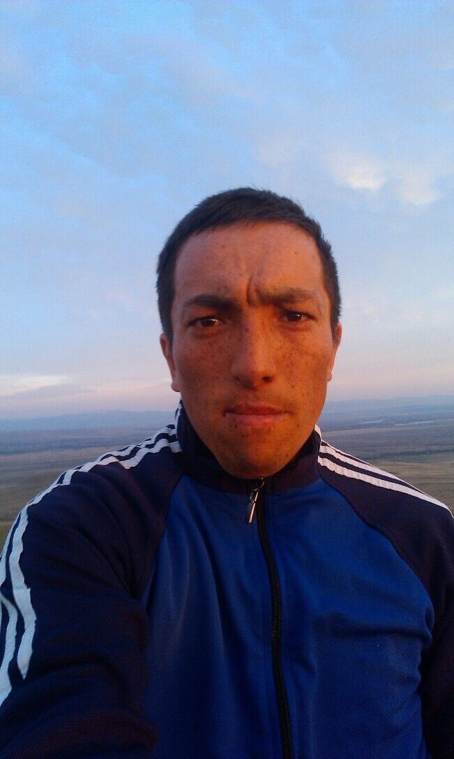  7828410  , 37 ,    