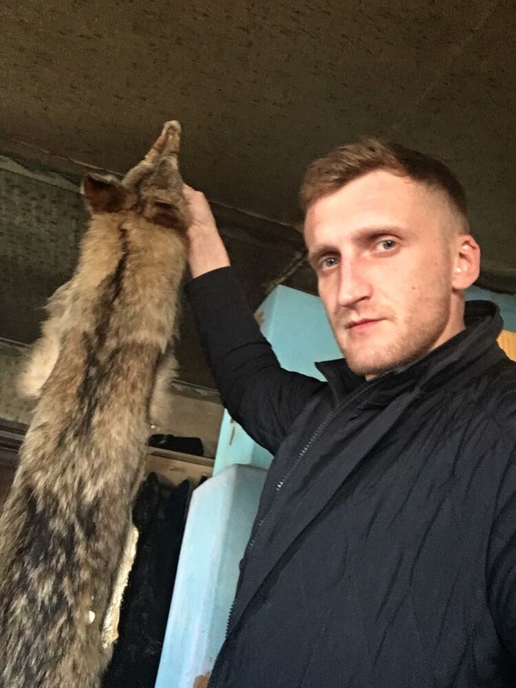 ���������� ��������, ���� ������� ������, 38 ���, ������������ ��� ������, ����� � ���������, c�������� ���������