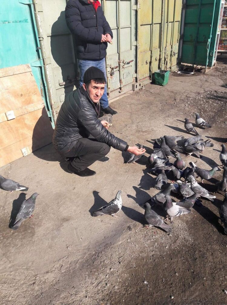 ���� 13144390 ������� ������, 37 ���, ���� ���������� � ������������