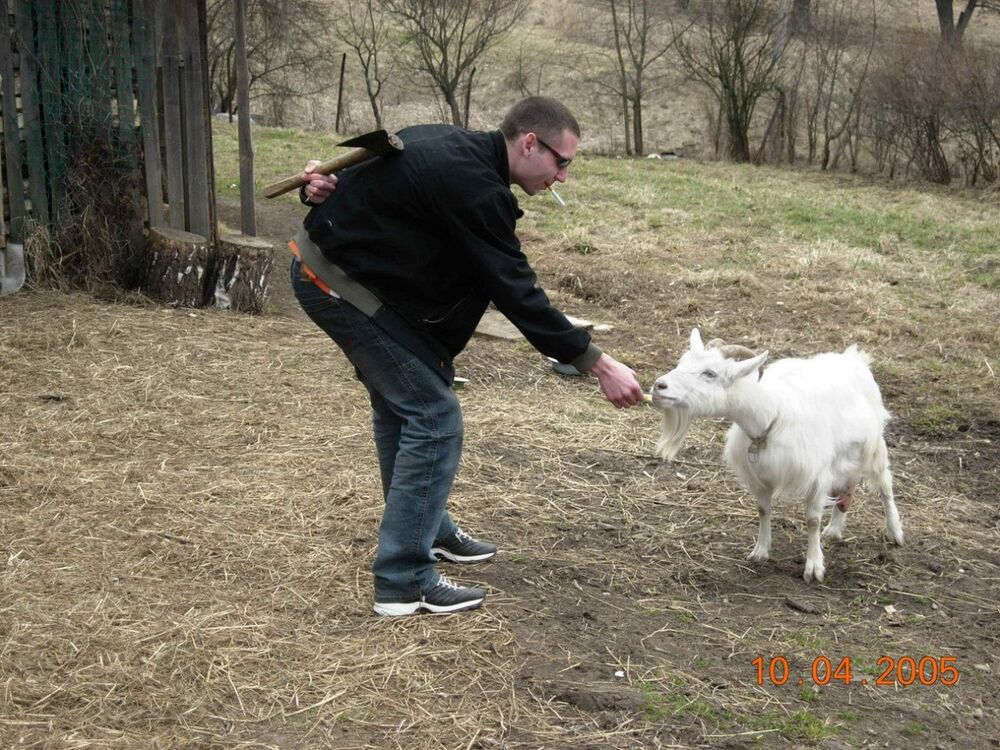 ���������� ������, ���� ������� �������, 42 ����, ������������ ��� ������, ����� � ���������, c�������� ���������