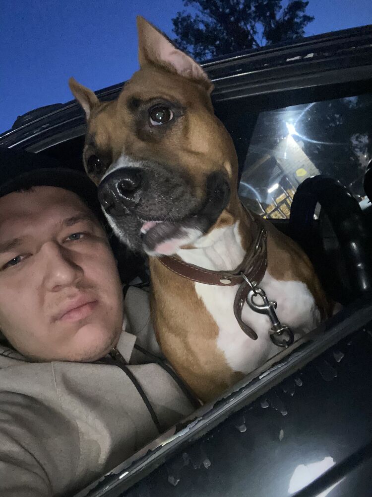 ���������� �����������, ���� ������� �������, 27 ���, ������������ ��� ������, ����� � ���������