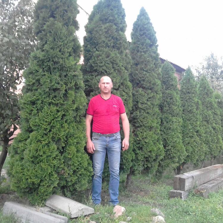  25858950  , 51 ,    