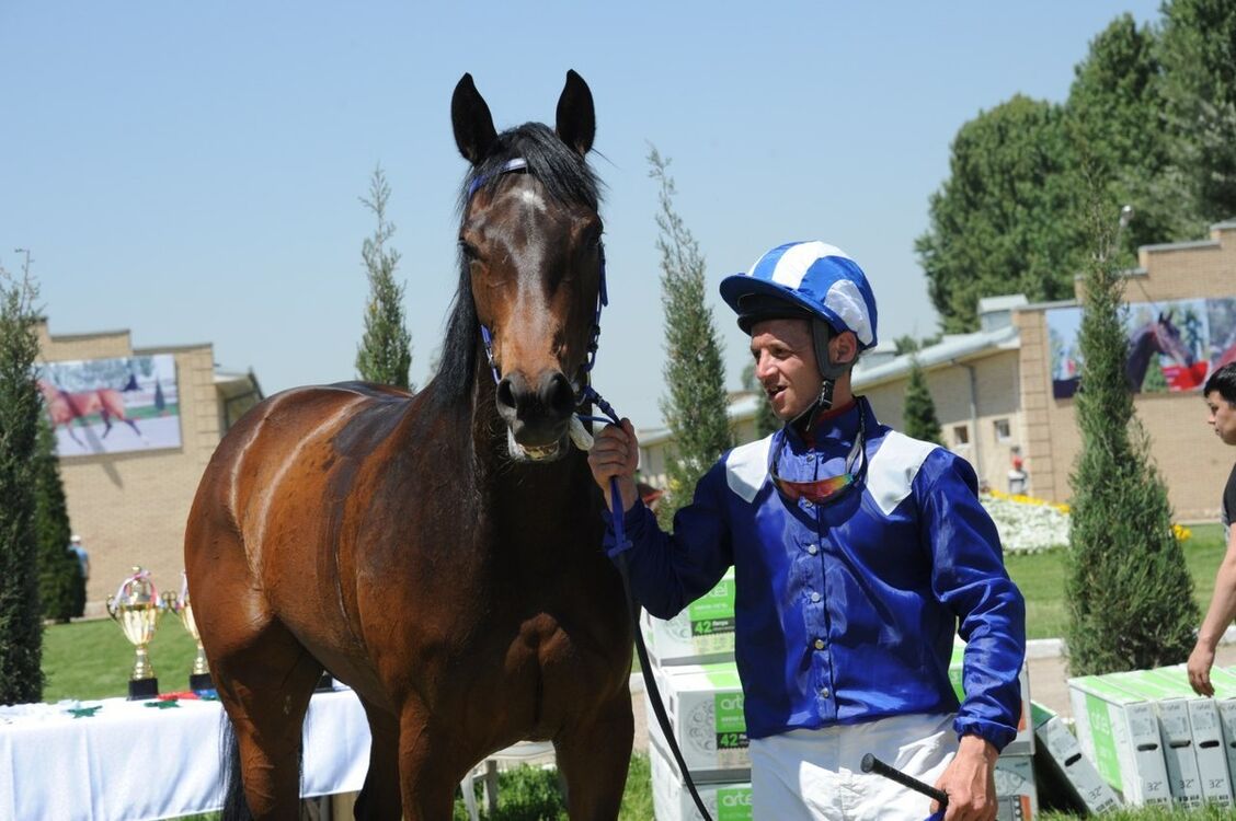 ���������� �������, ���� ������� �����, 41 ���, ������������ ��� ������, ����� � ���������, c�������� ���������