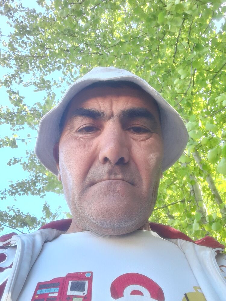  43266340  , 55 ,    
