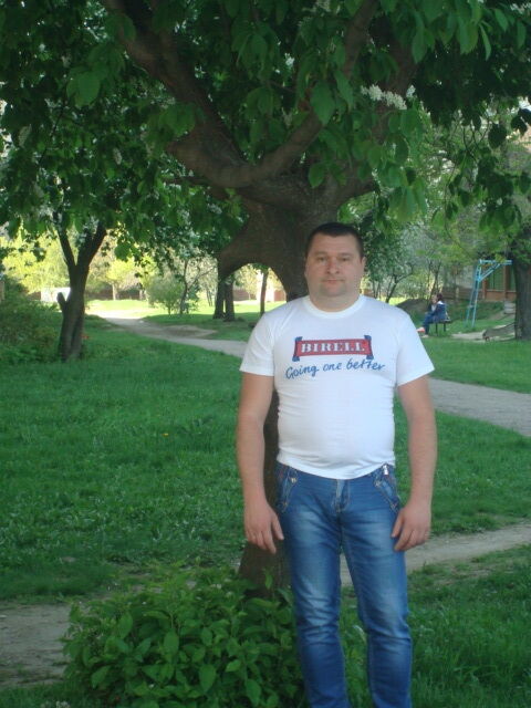  23629550  , 43 ,    