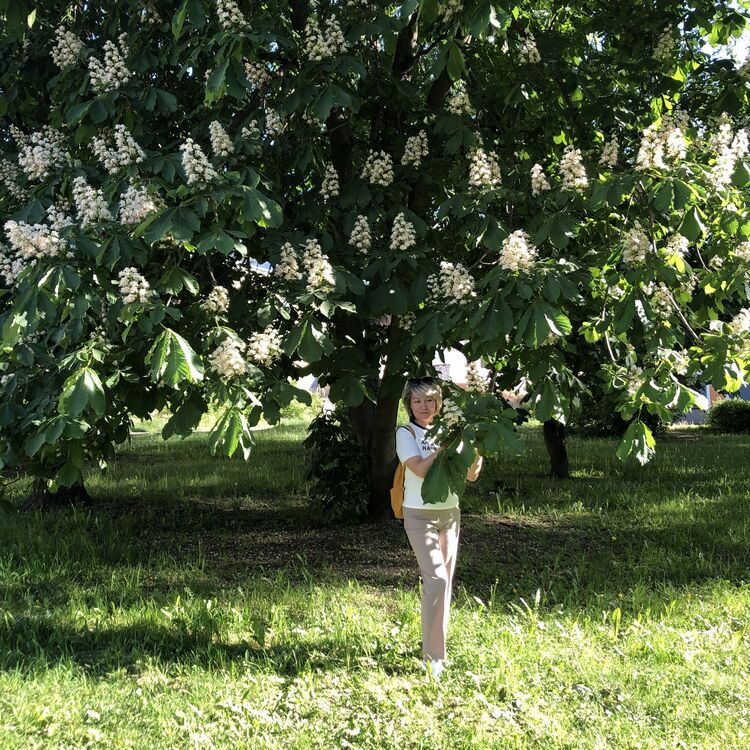  53047380  , 53 ,    -