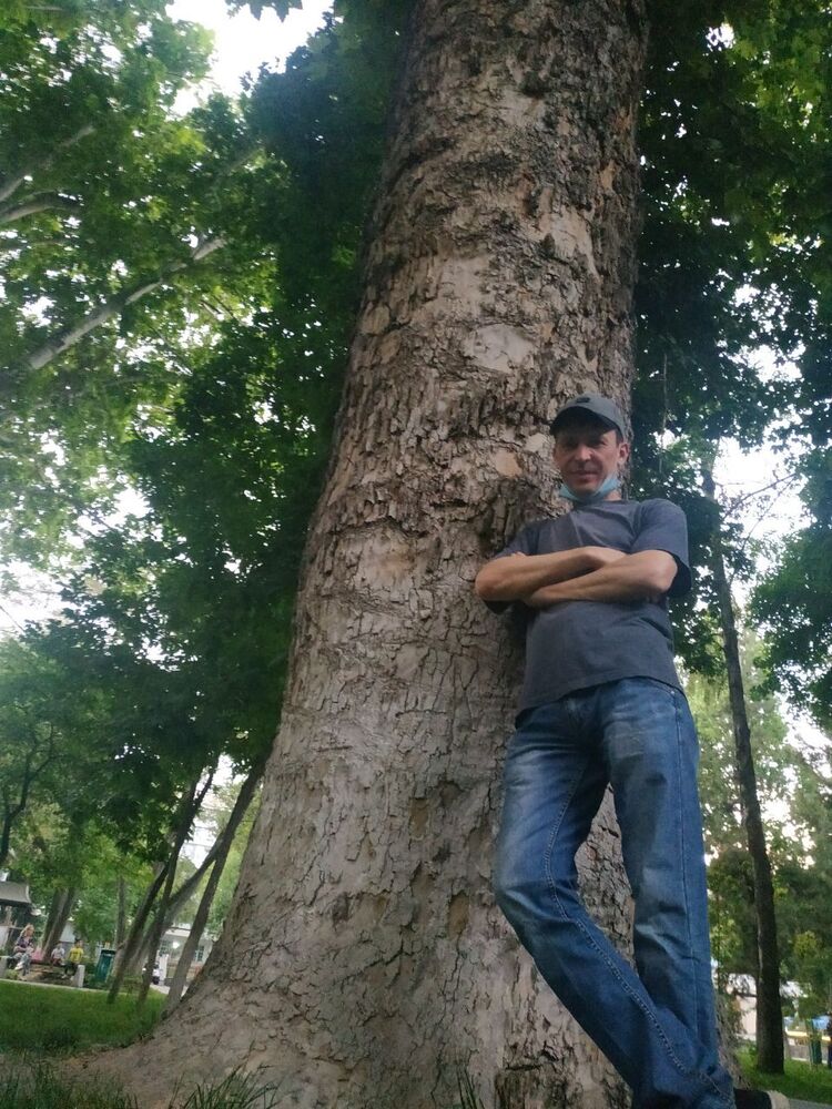 ���������� �������, ���� ������� �����, 50 ���, ������������ ��� ������, ����� � ���������