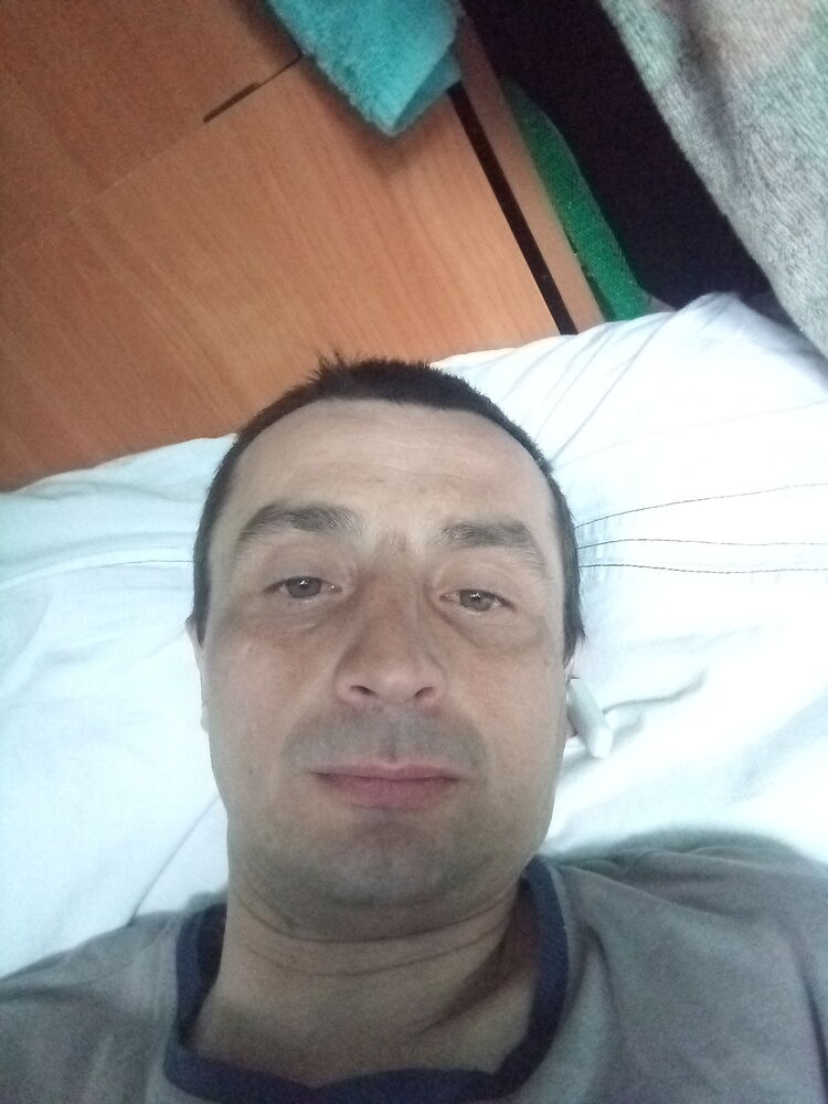  26062310  , 41 ,    