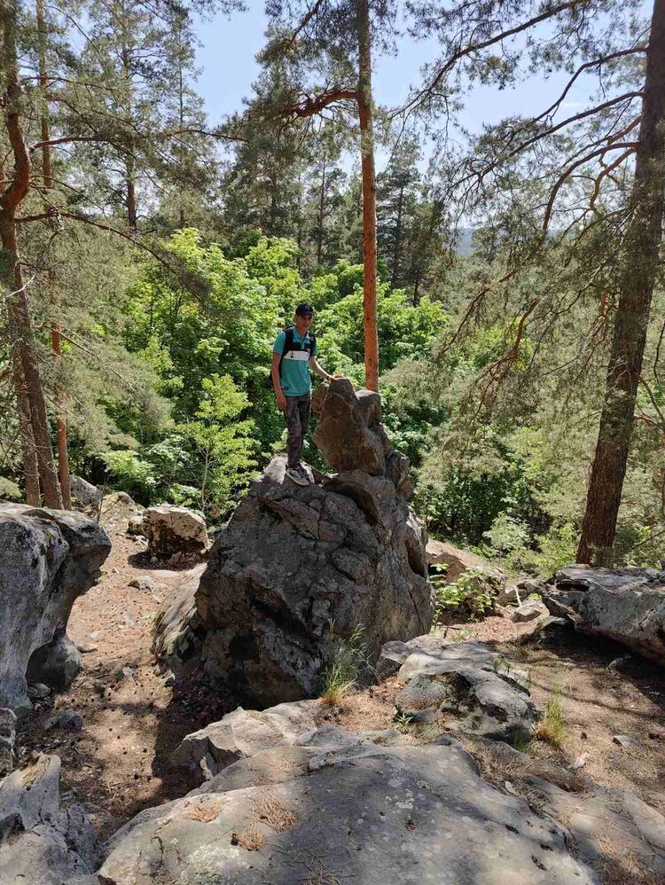 ���������� ��������, ���� ������� �����, 36 ���, ������������ ��� ������, ����� � ���������