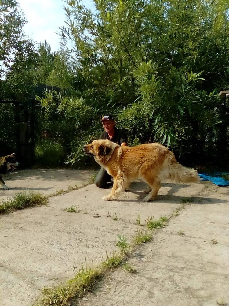  7860530  , 66 ,    