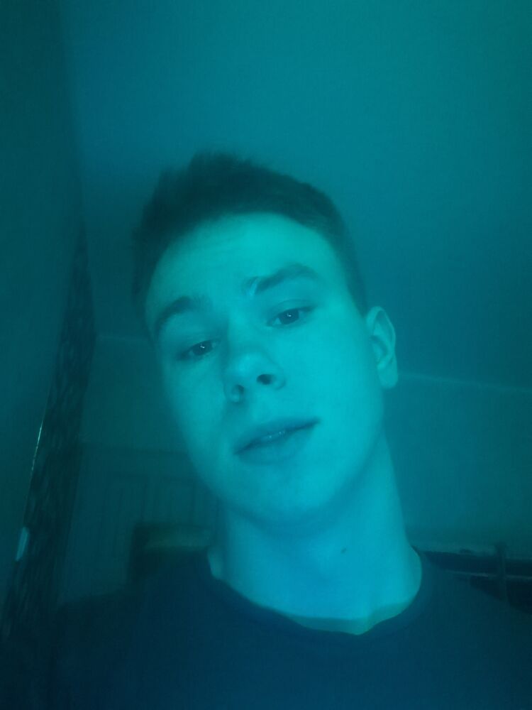  34033960  , 40 ,    