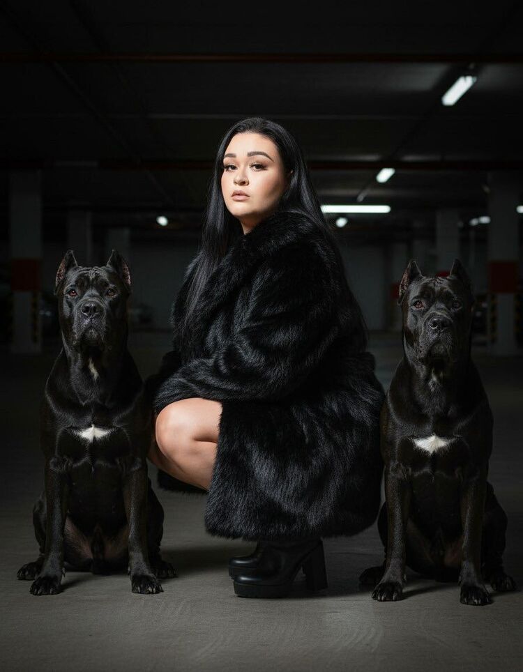 ���������� ������, ���� ������� �����, 29 ���, ������������ ��� c�������� ���������