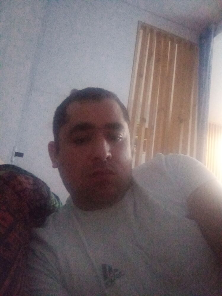 ���� 25530280 ������� �������, 38 ���, ���� ���������� � ���������