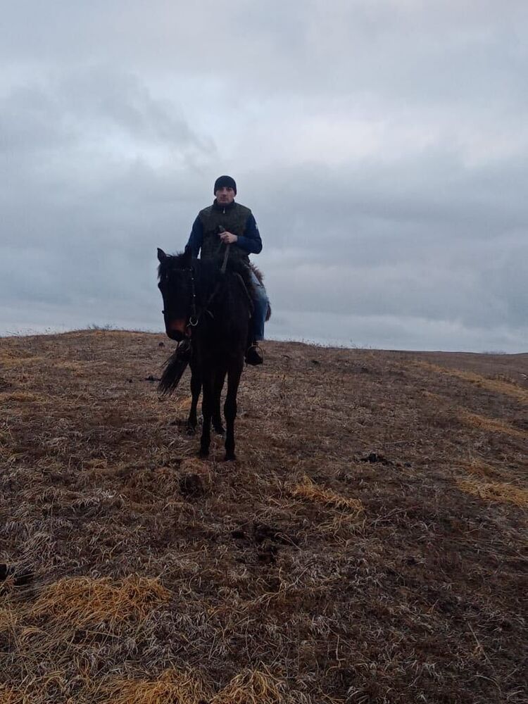 ���������� �������, ���� ������� ���, 33 ����, ������������ ��� ������, ����� � ���������, c�������� ���������, ���������