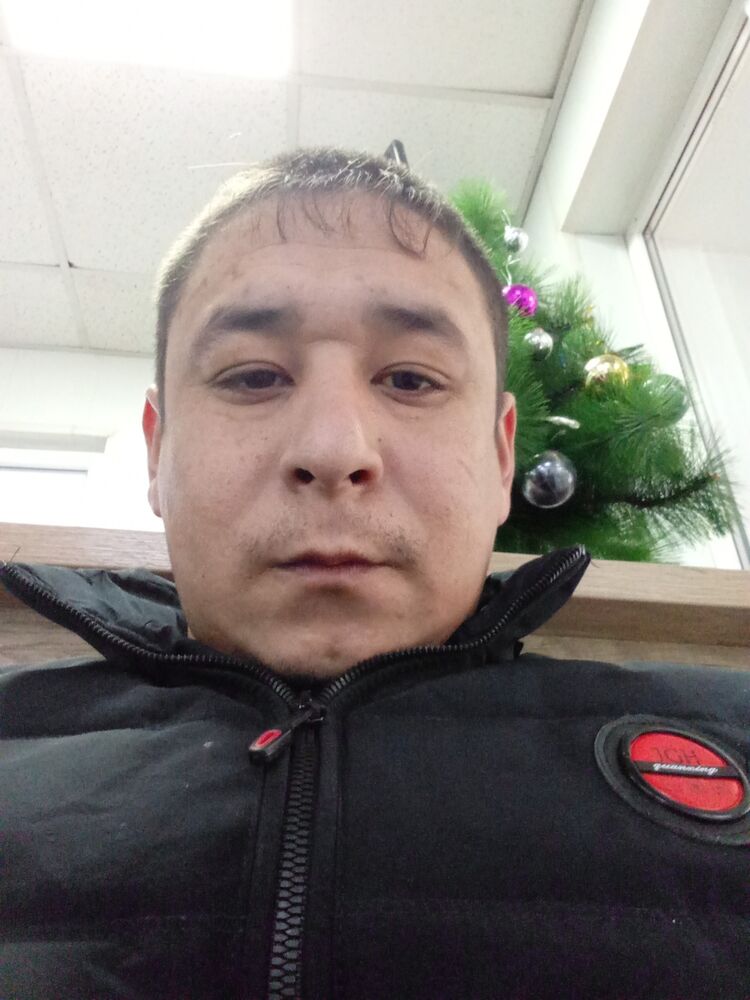  48833390  , 31 ,    