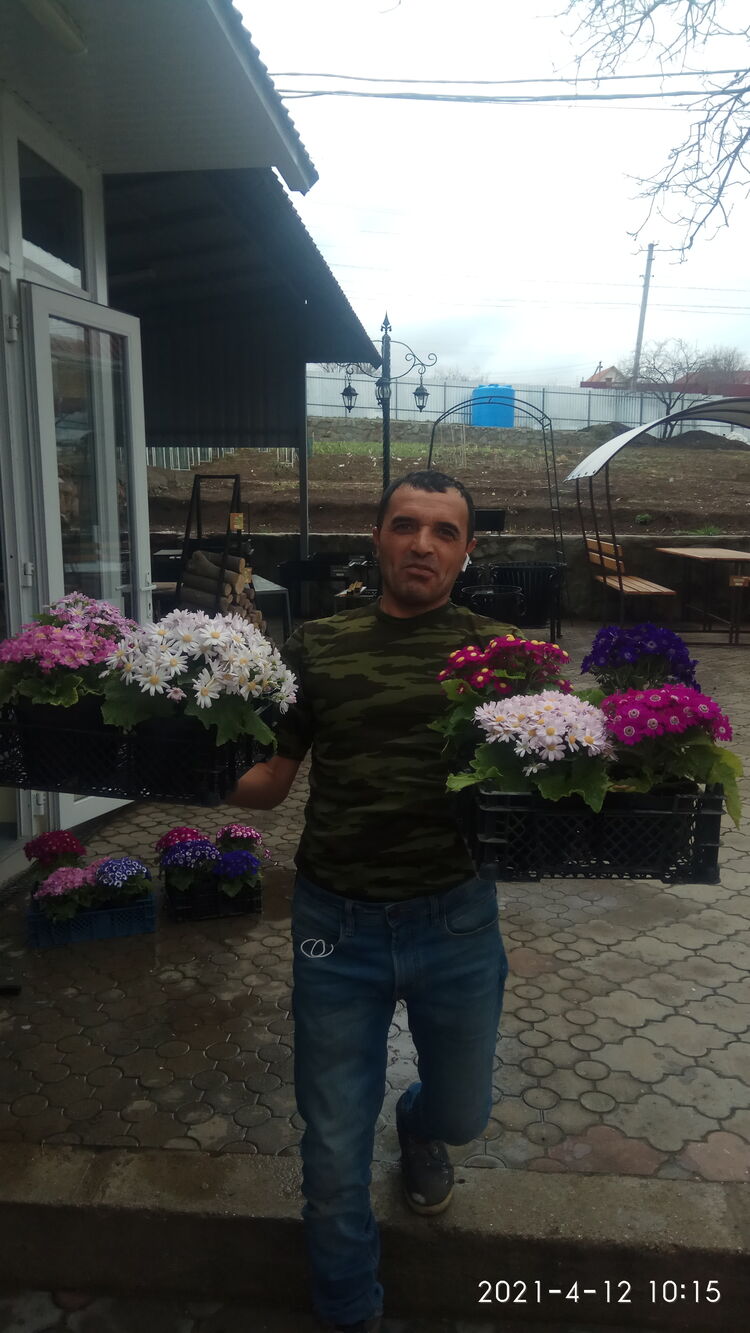 ���������� �����������, ���� ������� ���������, 47 ���, ������������ ��� ������, ����� � ���������