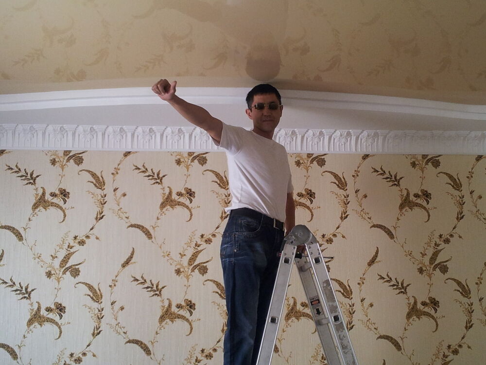 ���� 4209160 ������� ������, 48 ���, ���� ���������� � �����