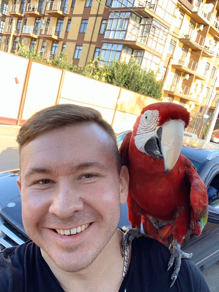 ���� 25719280 ������� ������, 43 ����, ���� ���������� � ������