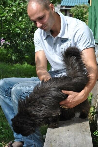 ���� 11097340 ������� ���������, 41 ���, ���� ���������� � �������������