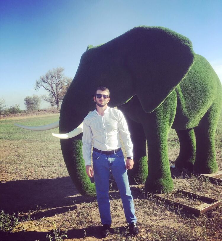 ���� 25923960 ������� ����, 30 ���, ���� ���������� � �����������