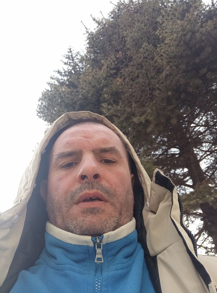 ���� 55872580 ������� Mark, 42 ����, ���� ���������� � �������