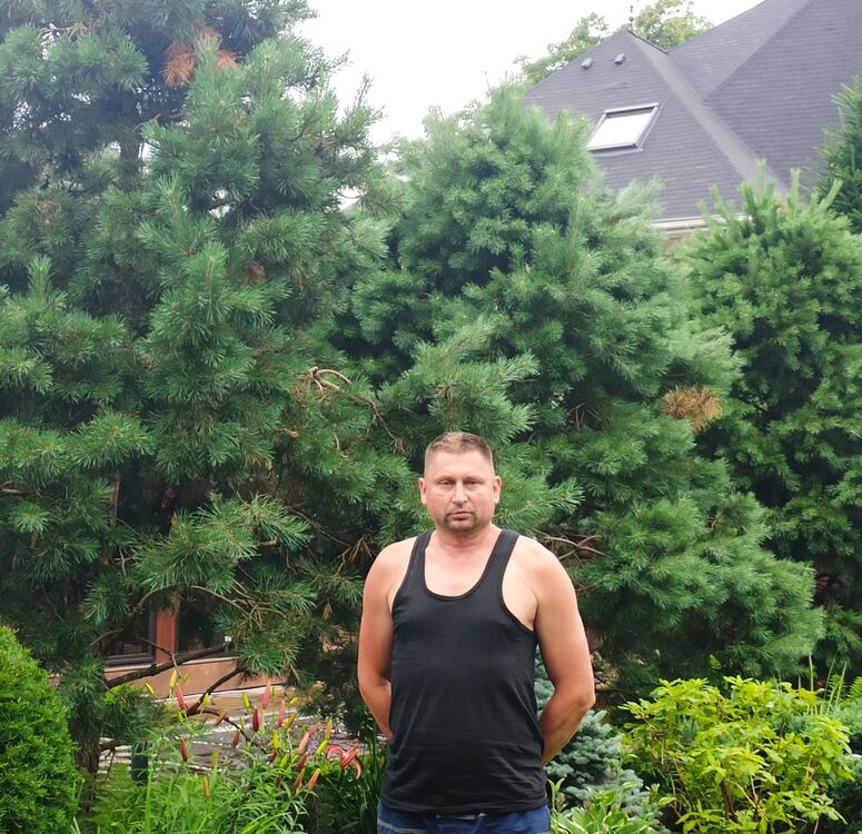 ���� 36956350 ������� ���������, 38 ���, ���� ���������� � ������������