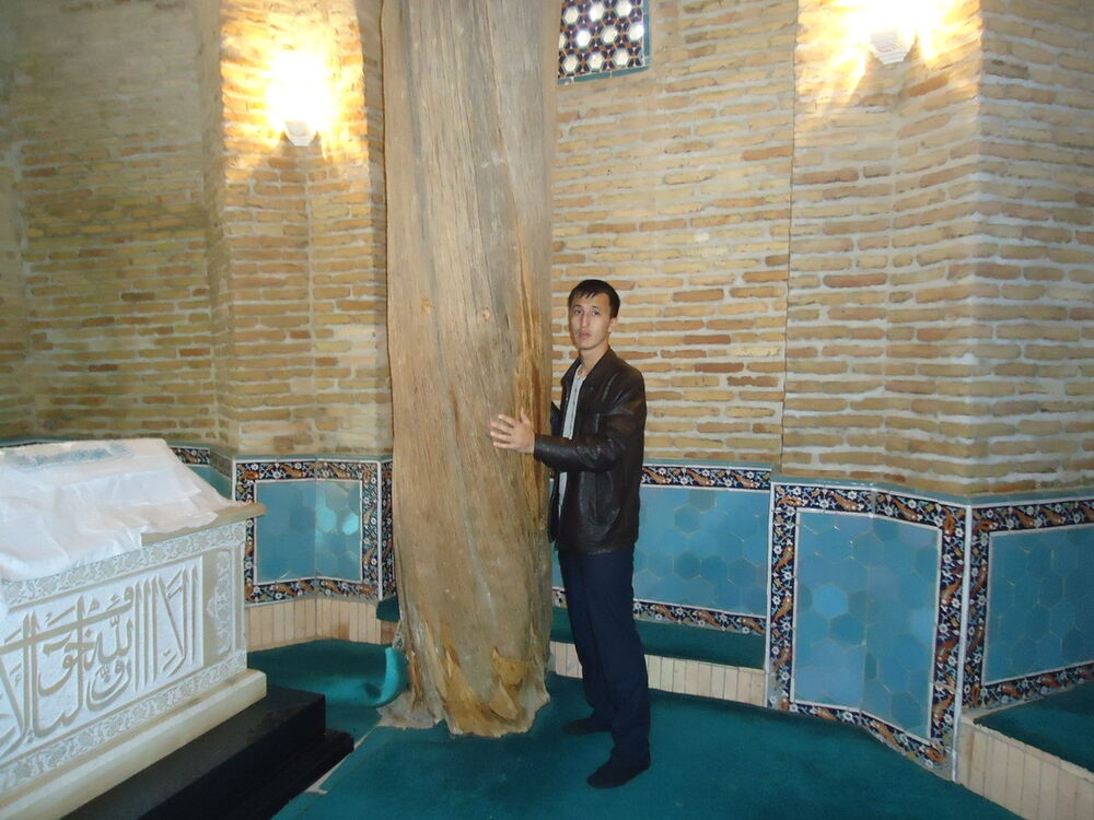  5885730  Bek, 44 ,    