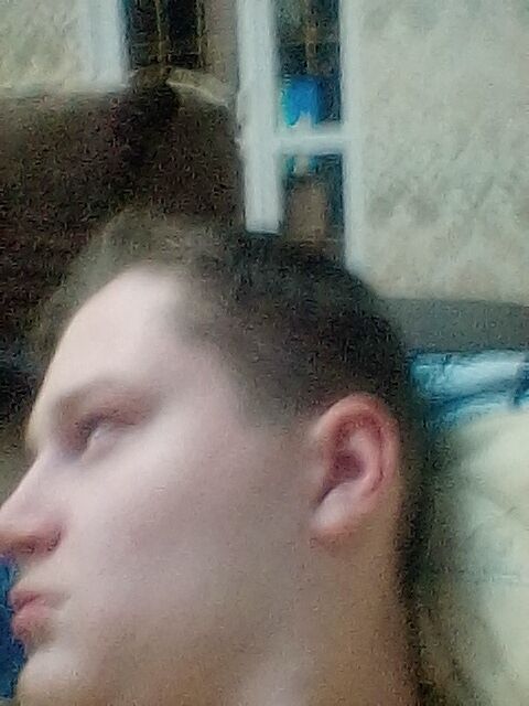  31087910  , 21 ,    