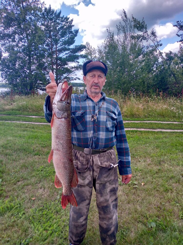 ���� 55717480 ������� ��������, 66 ���, ���� ���������� � ��������